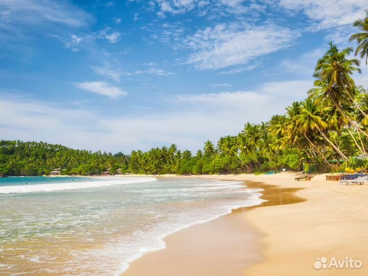 Отдых на Sri-Lanka от 7 ночей за 2-х человек