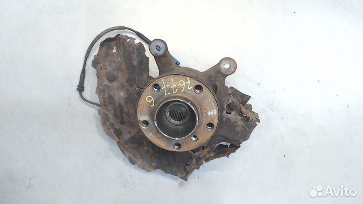 Ступица (кулак, цапфа) BMW X5 E53, 2001