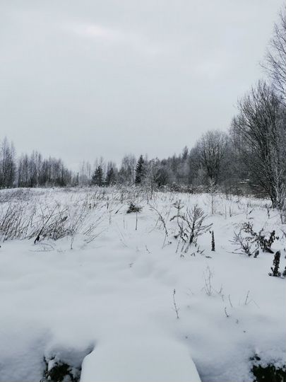 Участок 15 сот. (СНТ, ДНП)