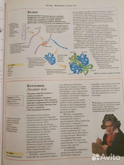 Большая энциклопедия