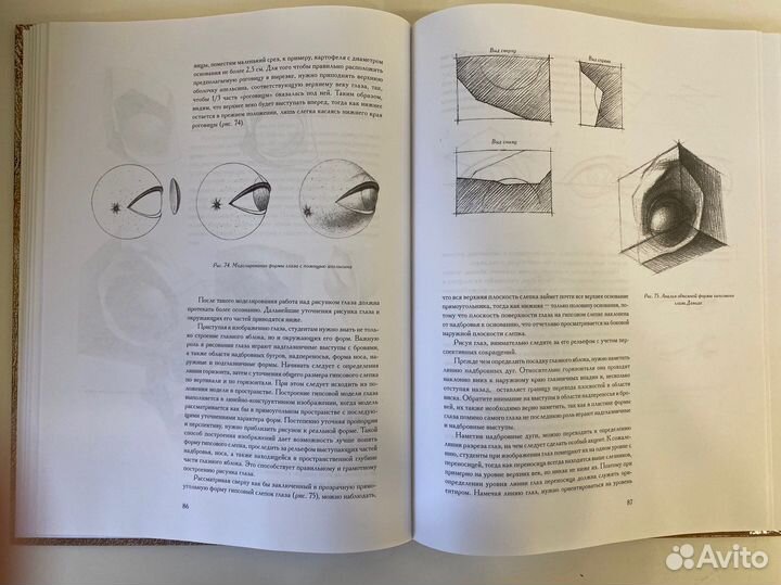 Николай Ли Голова человека