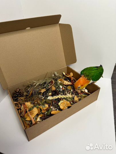Копошилка для попугаев грызунов кроликов