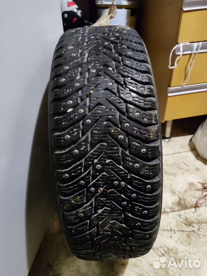 Nokian Tyres Hakkapeliitta 8 205/65 R15