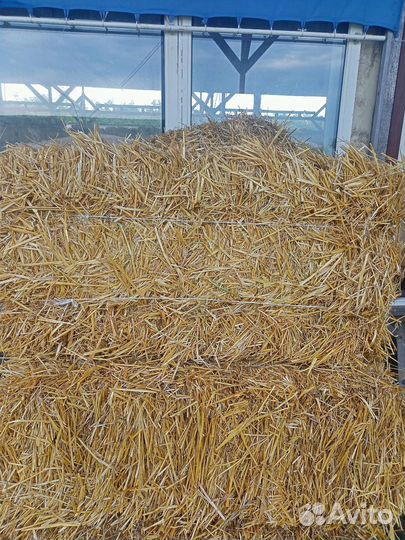 Сено, солома, подстилка в тюках
