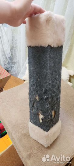 Когтеточка угловая