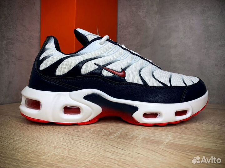 Кроссовки Nike Air Max Tn Plus