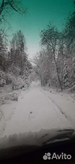 Пихтовое масло в стекле, натуральное, сертификат