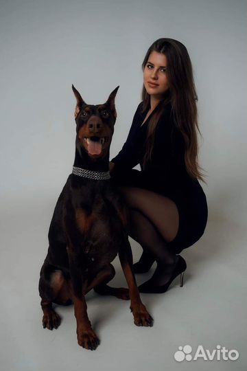 Вяжу за Щенка на выбор