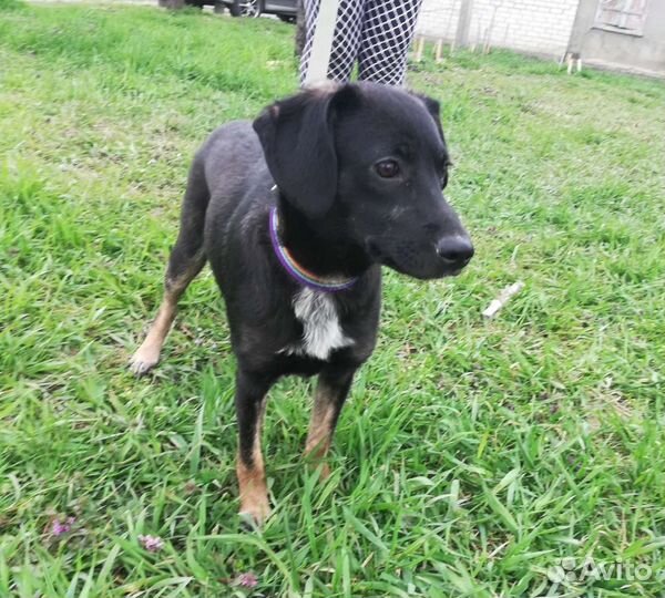 Девочка в добрые ручки