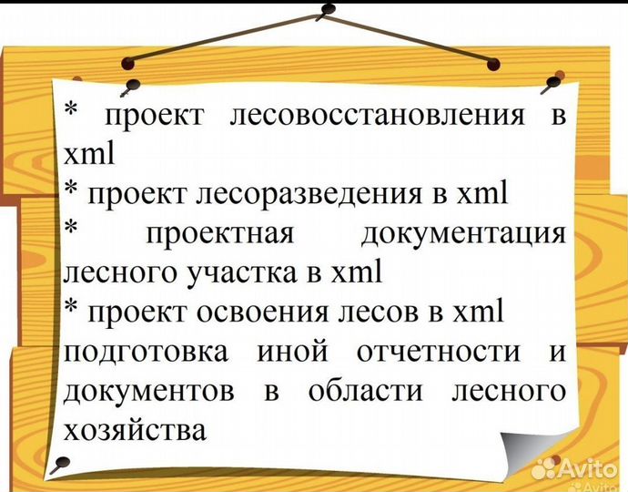 Услуги в области лесного хозяйства