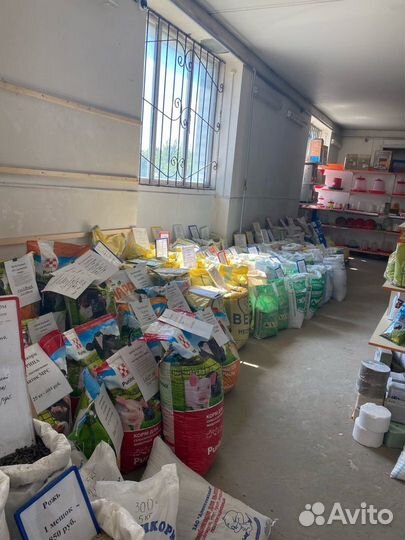 Комбикорм Пурина для яичной птицы Предкладка