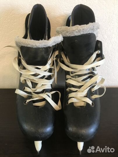 Коньки сальво