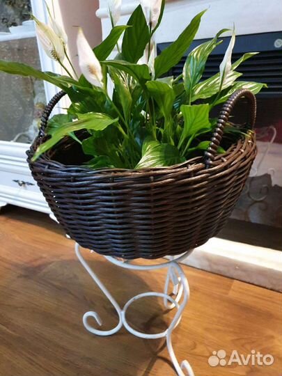 Кашпо для цветов