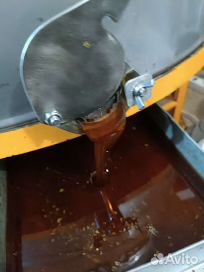 Продам оптом мёд 2023 подсолнечно-гречишный