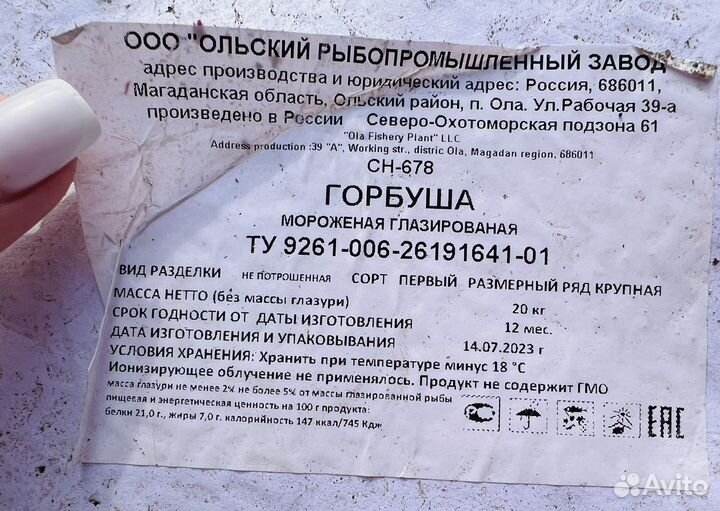 Горбуша свежий улов