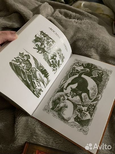 Книги Коты - Воители
