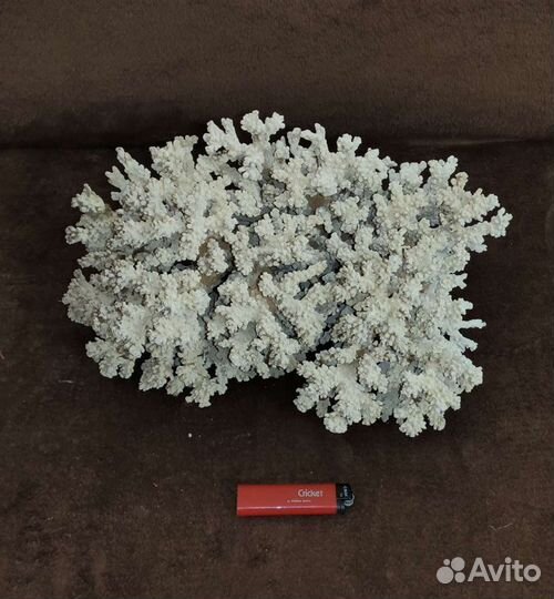 Декорации и грунт для аквариума