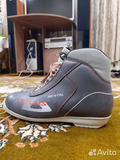 Лыжные ботинки rental