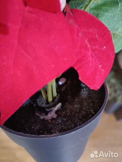 Новогодний декор