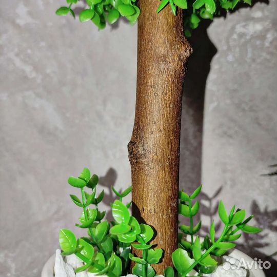 Искусственный самшит