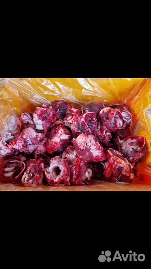 Мясо для собак,говяжьи субпродукты