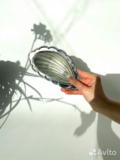 Ракушка Европа Винтаж