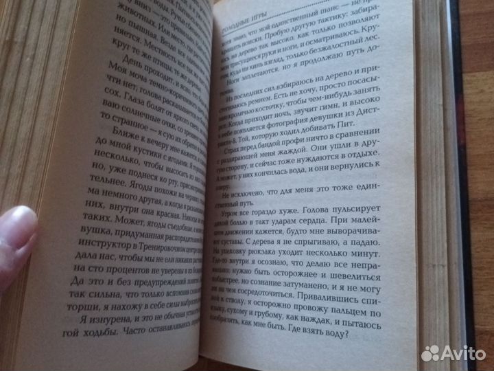 Сьюзен Коллинз 