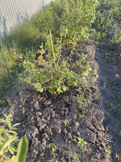 Дом 30 м² на участке 7 сот.