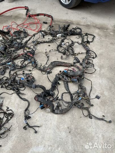 Bmw M6 E63 электропроводка кузова и двигателя