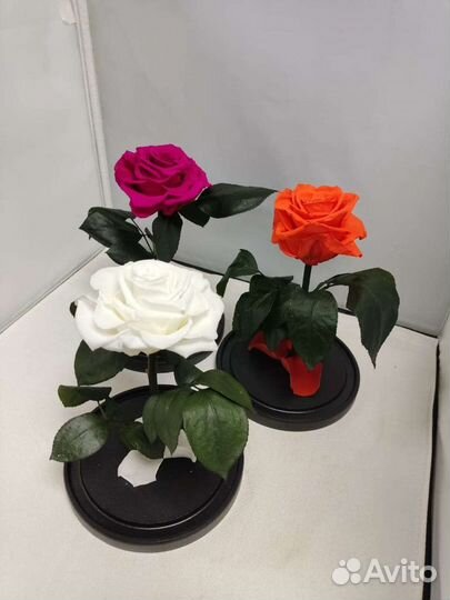 Роза в колбе оптом