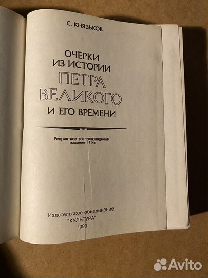 Очерки из истории Петра Великого и его воемени