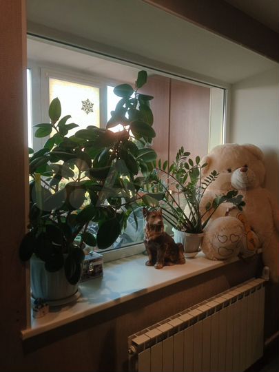 3-к. квартира, 99,1 м², 5/9 эт.