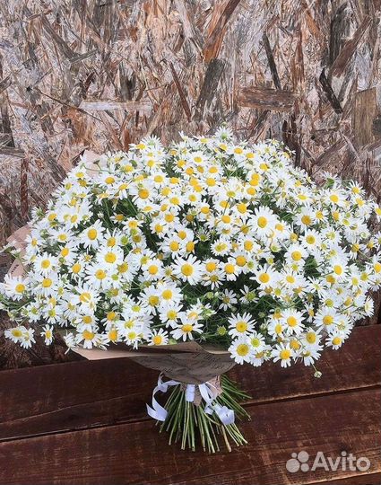 Доставка цветов. Ромашки