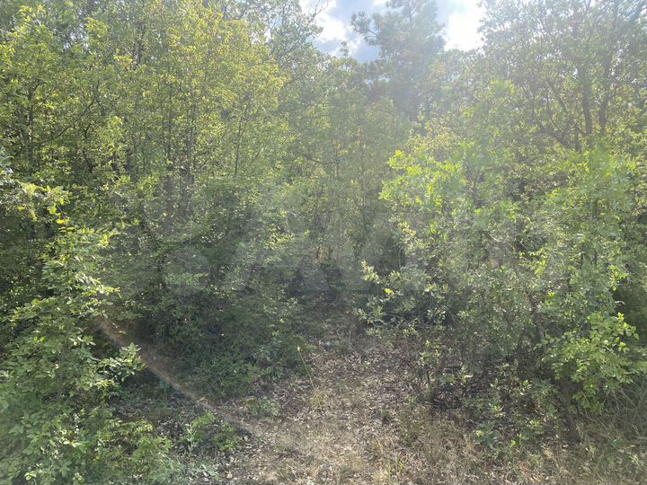 Участок 7,2 сот. (ИЖС)