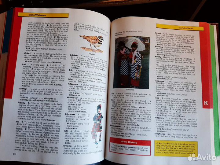 Бестселлер Редкая книга-словарь, (сша)