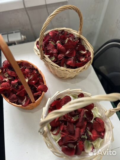 Лепестки роз розы цветы доставка цветов