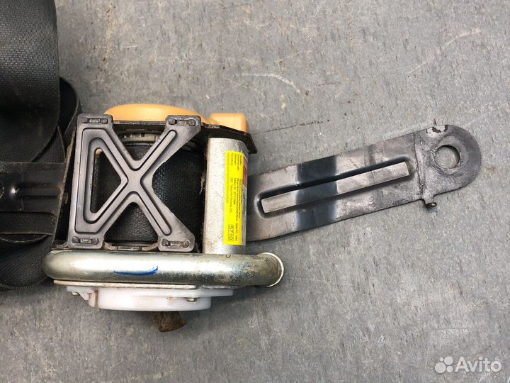 Пер лев ремень Альмера н16