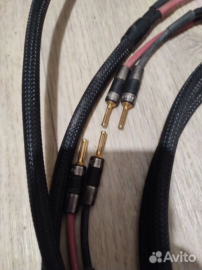 QED, made in apature