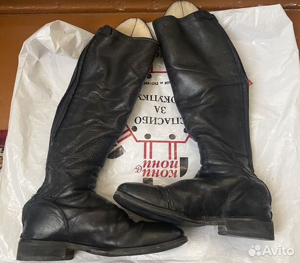 Саоги для конного спорта