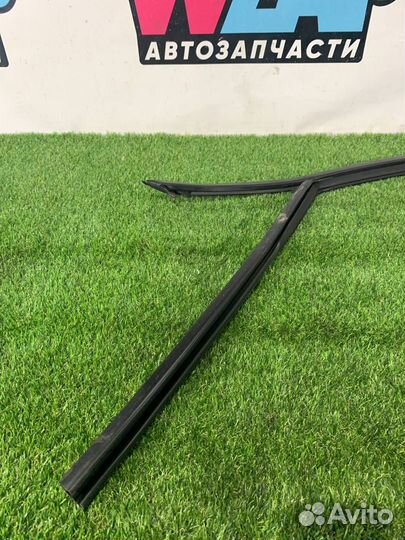 Уплотнитель стекла двери передний левый Ford