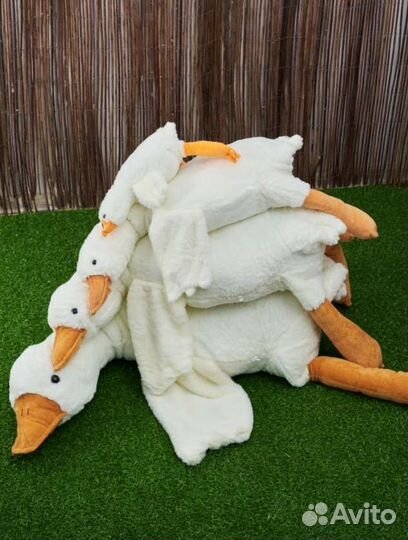 Гусь обнимусь