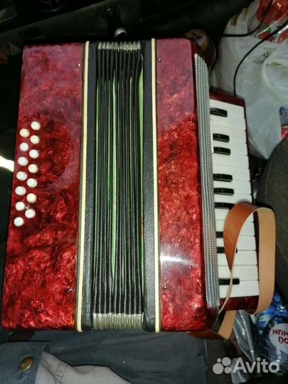 Аккордеон малыш