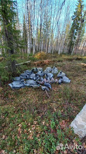 Продам чучела