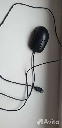 Компьютерная мышь