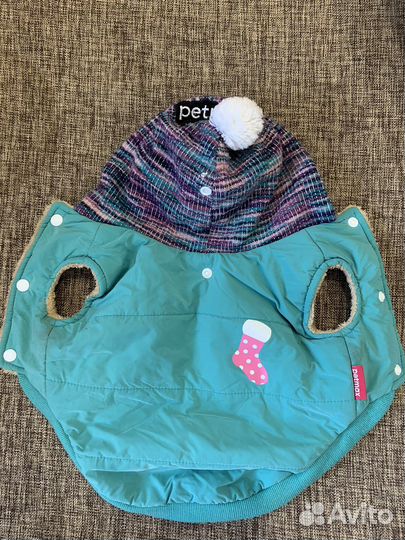 Одежда для собак