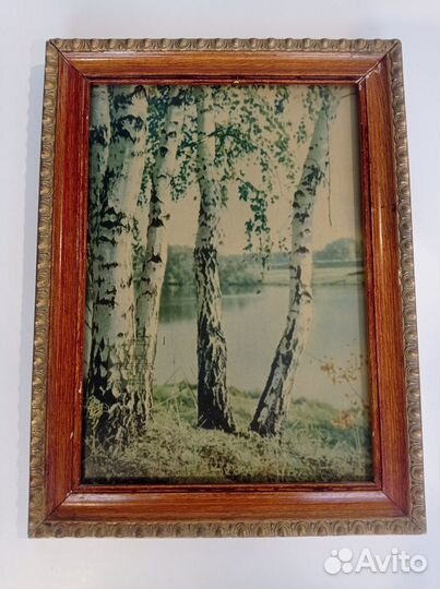 Фото П. Одикадзе 