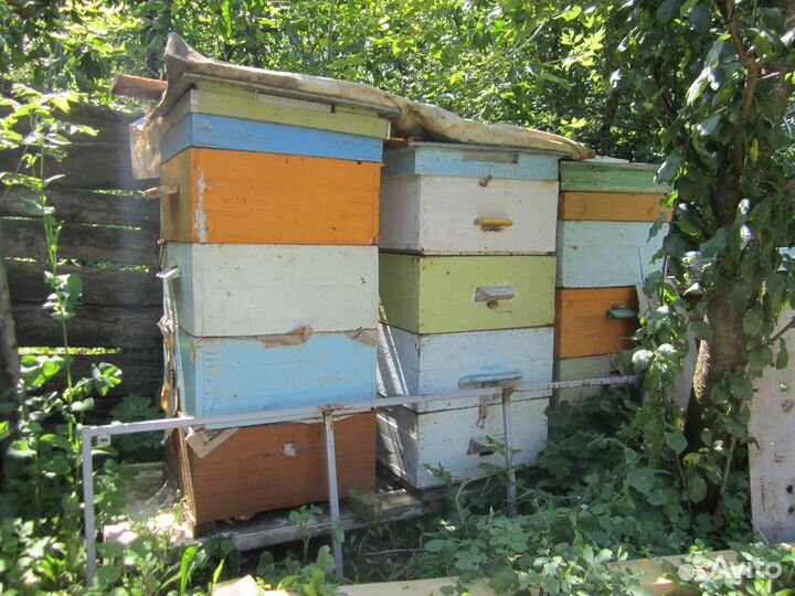 Ульи для пчел