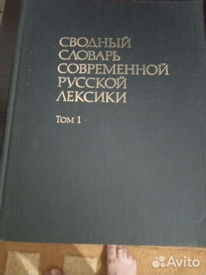 Сводный словарь современной русской лексики 2 тома