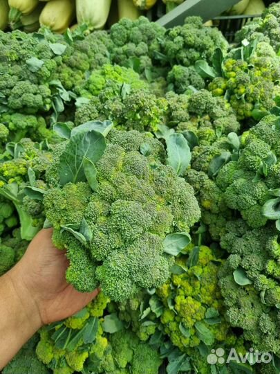 Капуста брокколи