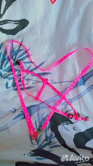 Амуниция для собак